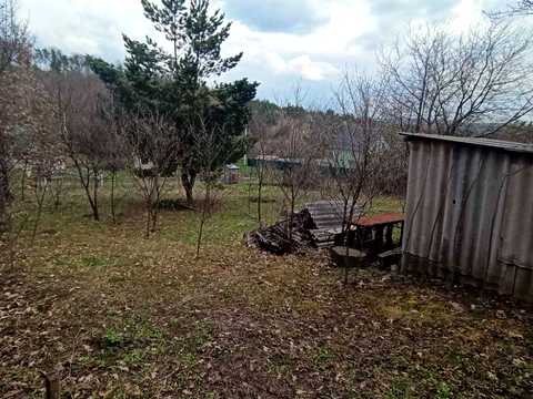 ділянка за адресою ранкові зорі