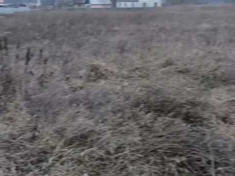 ділянка за адресою Хмільник, Івана Сірка, 31