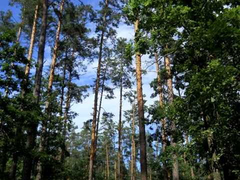 ділянка за адресою Лугова вул.