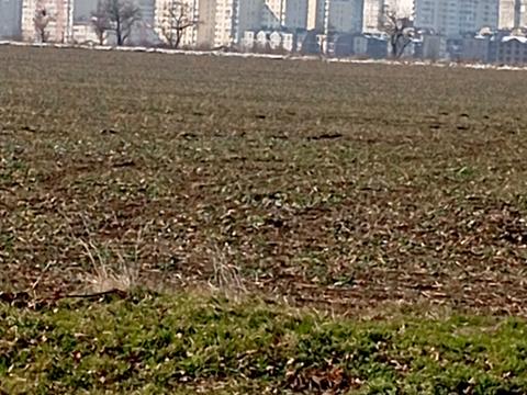 участок по адресу Академика Сахарова ул.
