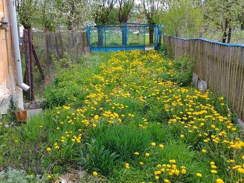 дом по адресу квіткова, 305