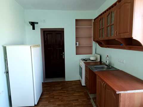 дом по адресу с. Песчаное, Руслана Шеремета, 76