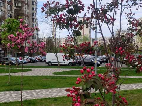 квартира за адресою Європейського Союзу просп. (Правди), 41-Д