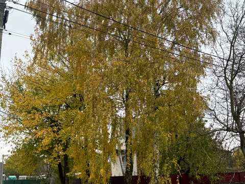ділянка за адресою Зарічна вул.