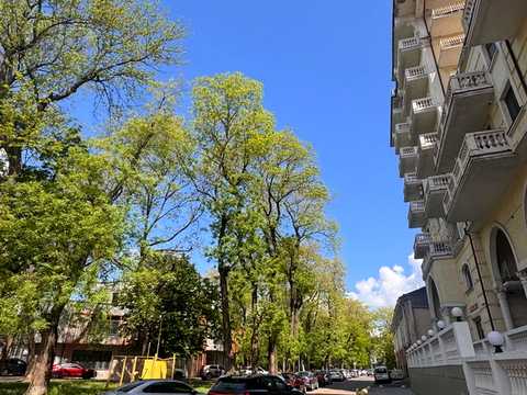 квартира за адресою Онілової пров., 18