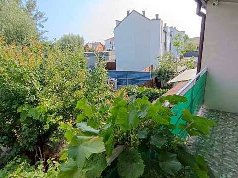 будинок за адресою Центральна вул.