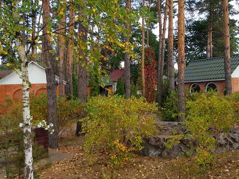 комерційна за адресою Боровкова вул., 63Б