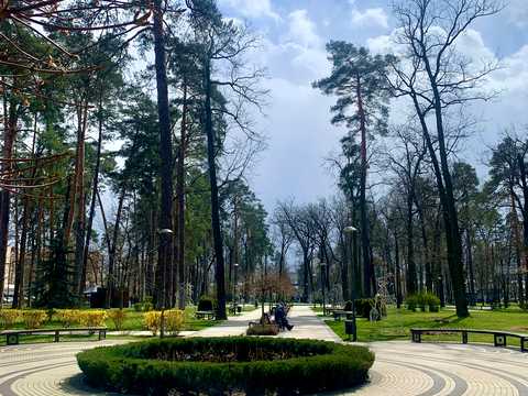 комерційна за адресою Матвія Донцова вул. (Тургенєвська), 24