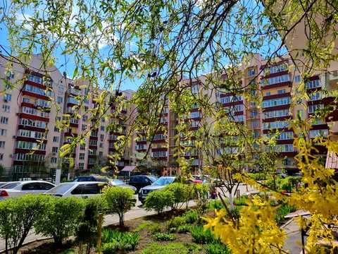 квартира за адресою Сосновий, 2