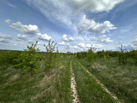 ділянка за адресою Багабунта