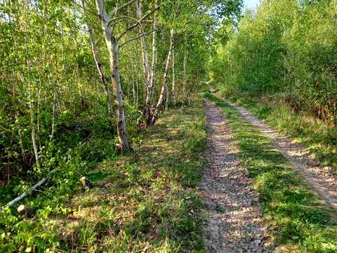 участок по адресу Центральна