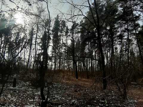 участок по адресу 