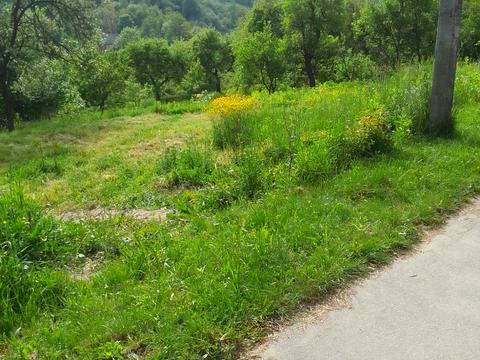 участок по адресу Братів Кедюличів