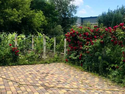 дом по адресу маяковского