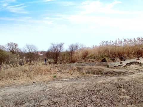 участок по адресу Катионовская ул.