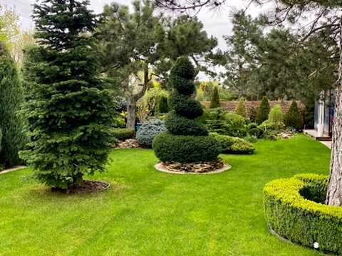 дом по адресу Ореховая, 8