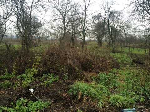 будинок за адресою Центральна