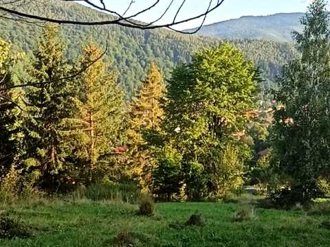 участок по адресу Любомира Гузара ул. (Пушкіна)