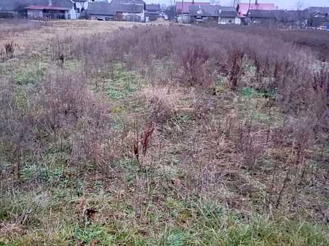 ділянка за адресою Шевченка