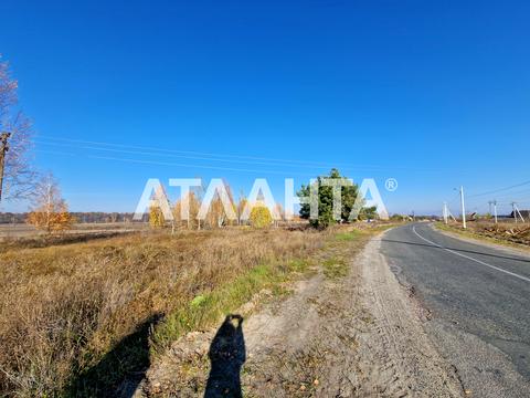 ділянка за адресою 