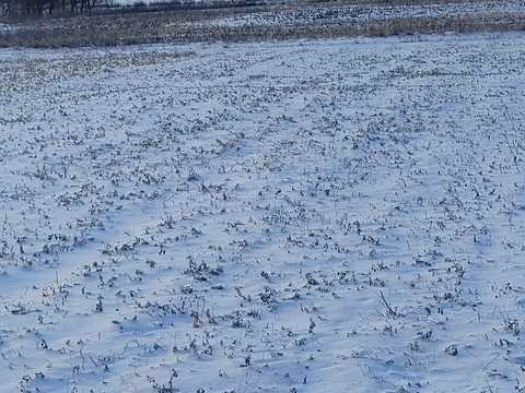 ділянка за адресою с. Яковлівка, Костянтинівська, 6
