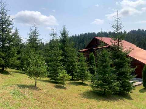 коммерческая по адресу Героїв Майдану, 1