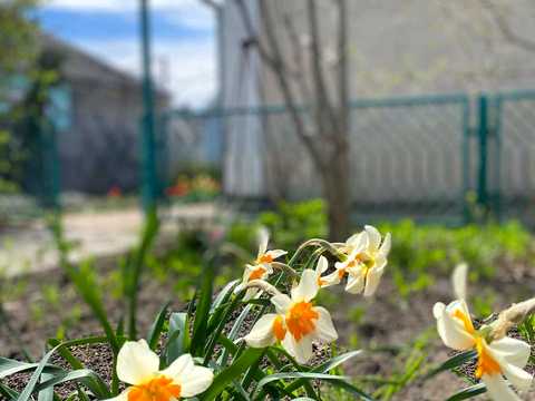 будинок за адресою Чехова, 5