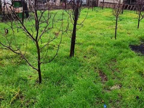 дом по адресу 7-я Суворовская ул. (7-я Суворовская)
