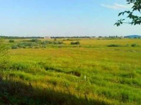 участок по адресу Траса М-05 Київ-Одеса