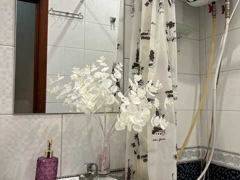 квартира за адресою Старокиївський пров., 1/3