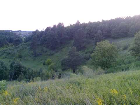 ділянка за адресою