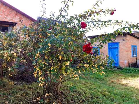 будинок за адресою Михайла Драгоманова вул. (Радянської Армії)