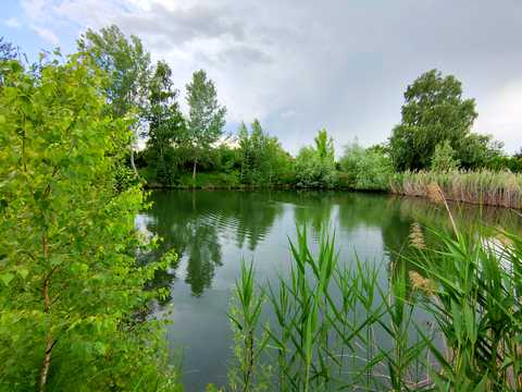 ділянка за адресою Центральна вул., 777
