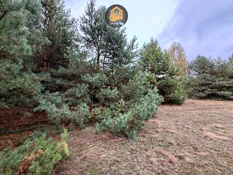 ділянка за адресою с. Абрамівка, 