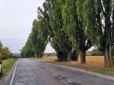 ділянка за адресою 