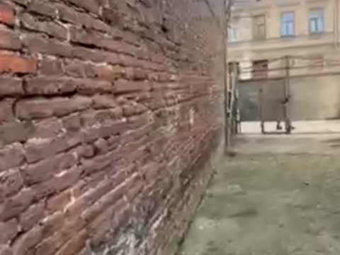дом по адресу Зеленая ул., 55