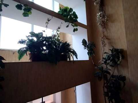 комерційна за адресою Конституційна вул., 15