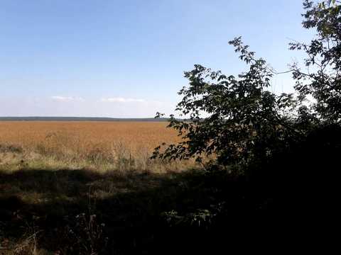 участок по адресу 