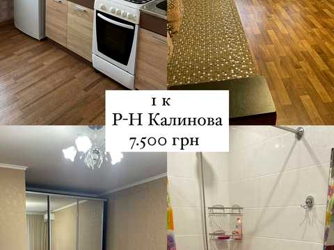 квартира по адресу ул. Калиновая