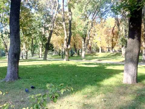 квартира за адресою Івана Мазепи вул. (Січневого Повстання), 3
