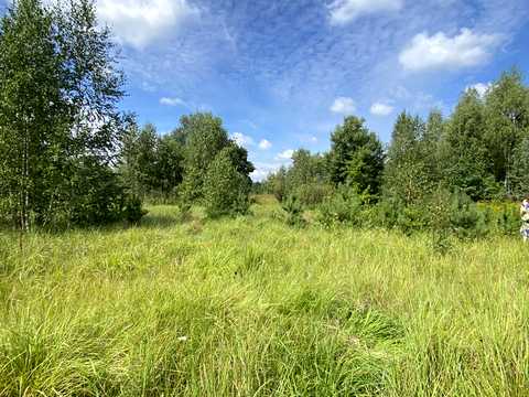 ділянка за адресою лугова, 2