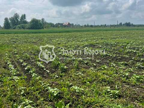 ділянка за адресою с. Перемога, Старокиївська, 103
