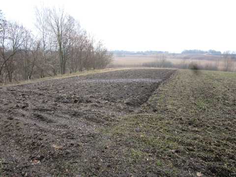 дом по адресу Вишневая, 38