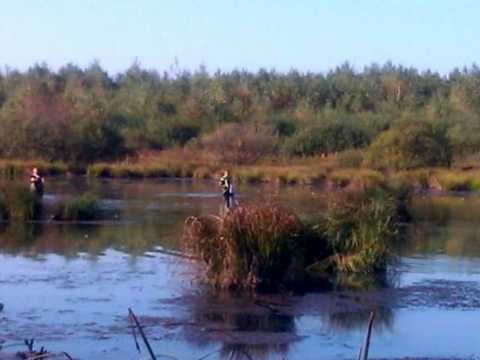 участок по адресу Зелена