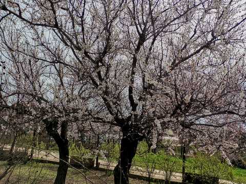 будинок за адресою Пересадівська вул., 2