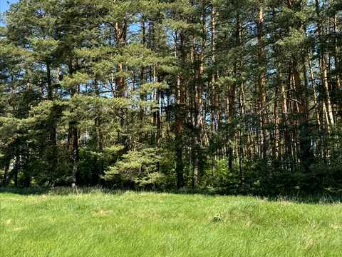 ділянка за адресою с. Микільське, центральна, 1