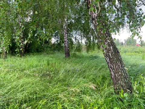 участок по адресу Конча Заспа