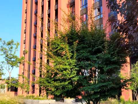 квартира за адресою Набережно-Рибальська вул., 27