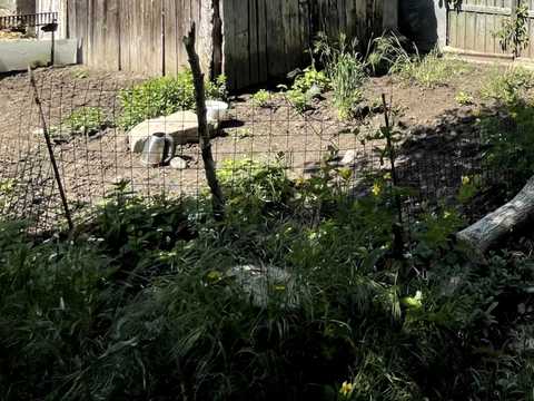 дом по адресу Фонтанская дорога ул., 101