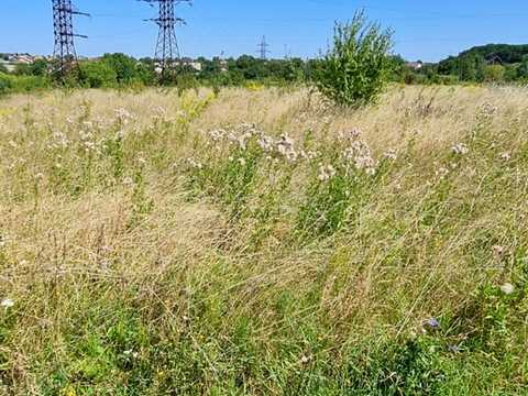 ділянка за адресою Коперника